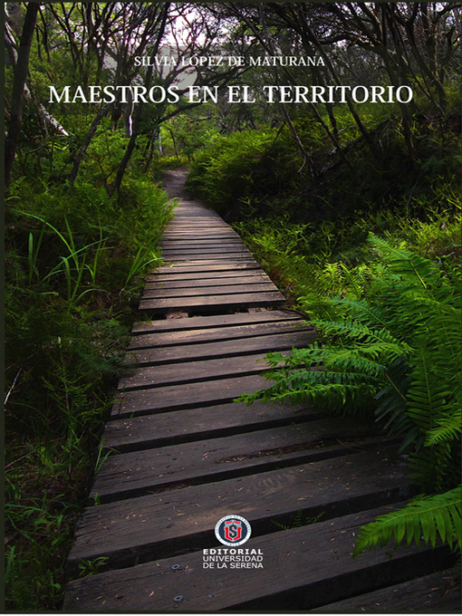 Title details for Maestros en el territorio by Silvia López de Maturana - Available